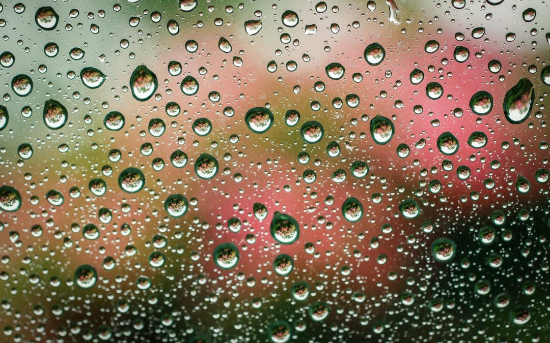 What Your Nervous System Has Been Trying to Tell You (But You Keep Ignoring)