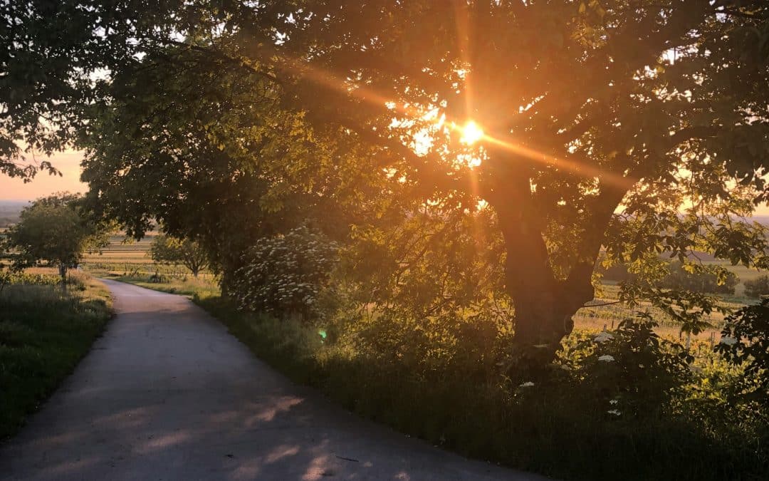 90 Seconds to Your Future Self