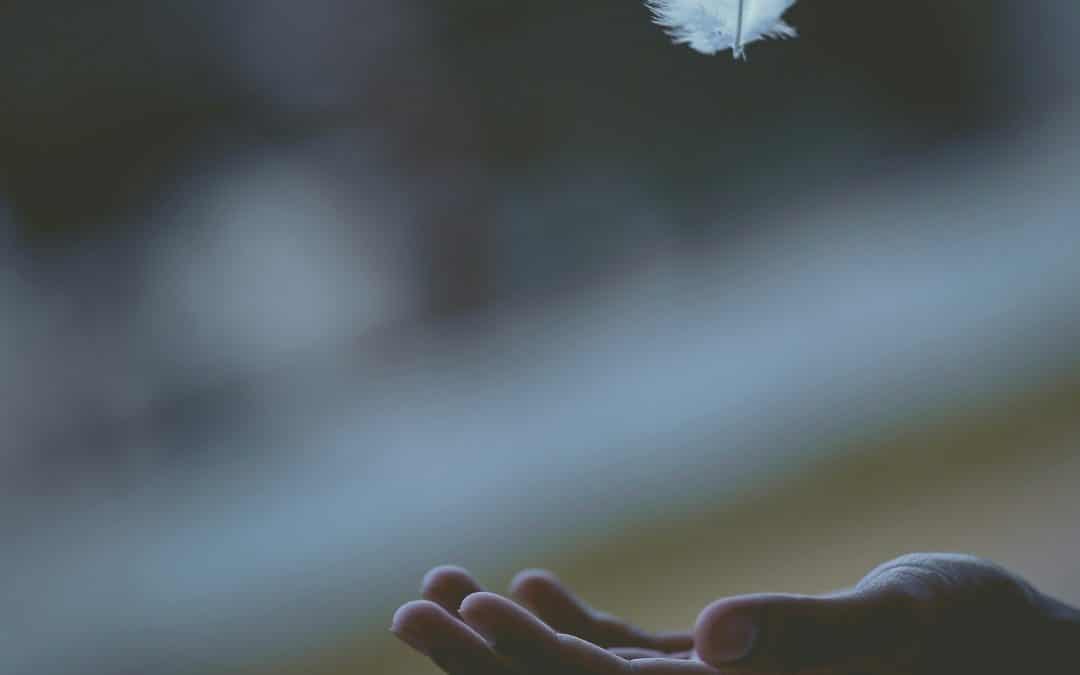 “Your Body Is Made For This!” August Collective Reading