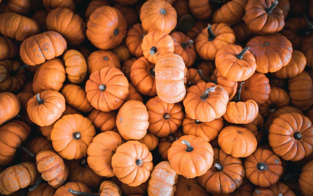 The Power of Micro-Shifts