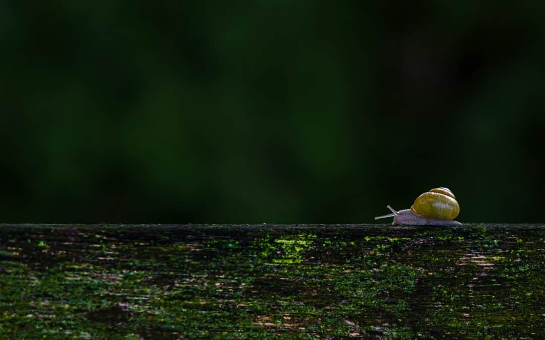 A Different Kind of January Reset