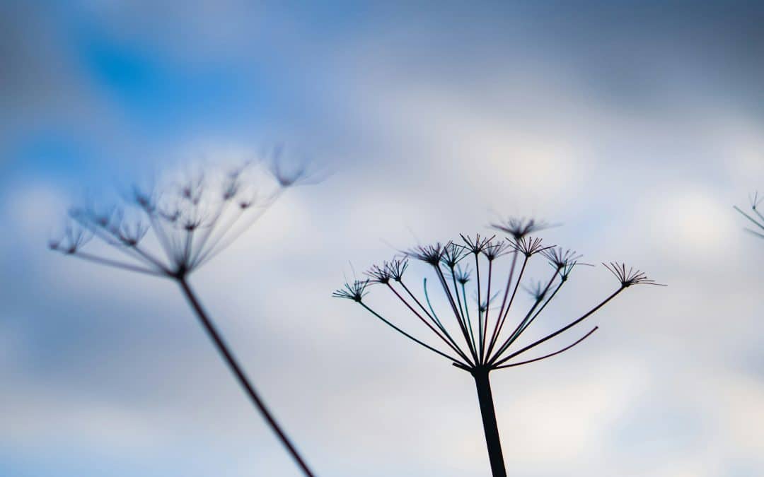 “You’re Creating Faster Than Ever!” February 2026 Collective Reading