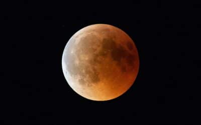 A Planetary Perspective March 2026