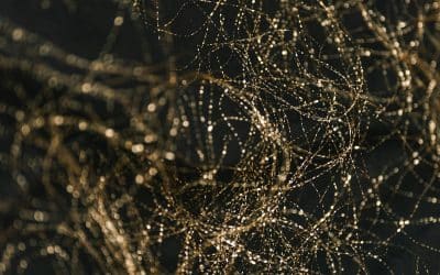 The 10 Most Powerful Reset Tools Your Brain And Body Respond To In Minutes