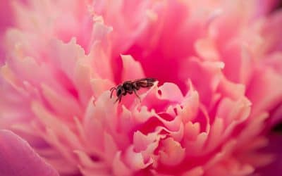 What You Put In and On Your Body Shapes How You Feel