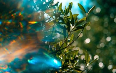 “A New Feeling Within You” April Collective Reading