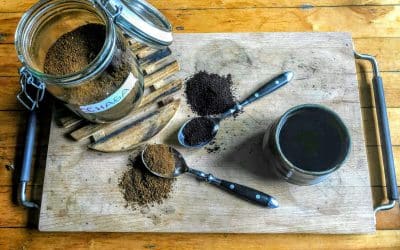 Easy Ways Chaga Can Support Your Body