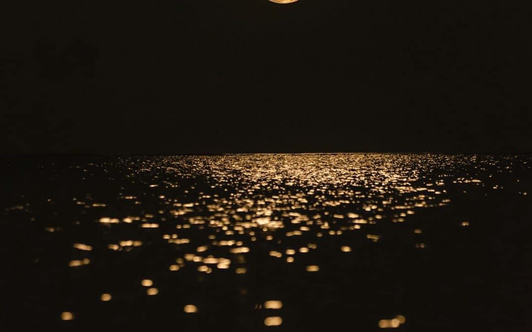 May Planetary Activations