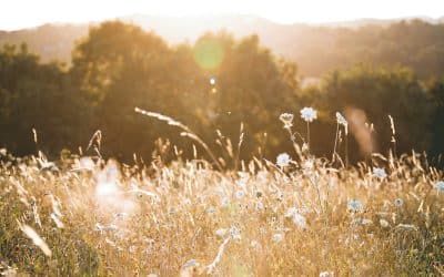 The Missing Pillar of Health: Recovery