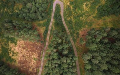 What If the Detour Is the Path?