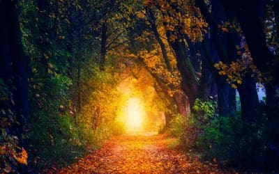 To Become Your Whole Self… Let go – September Collective Reading