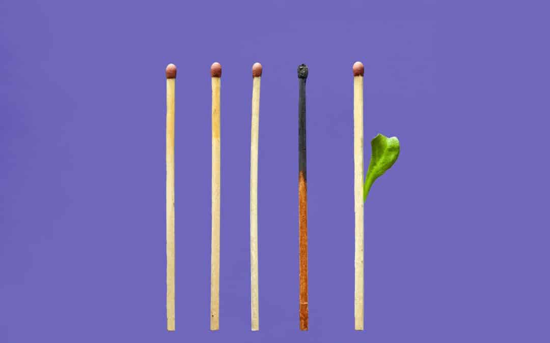 Your Stress Budget: What Is Your Body Paying For?