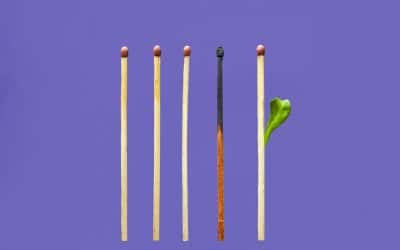 Your Stress Budget: What Is Your Body Paying For?